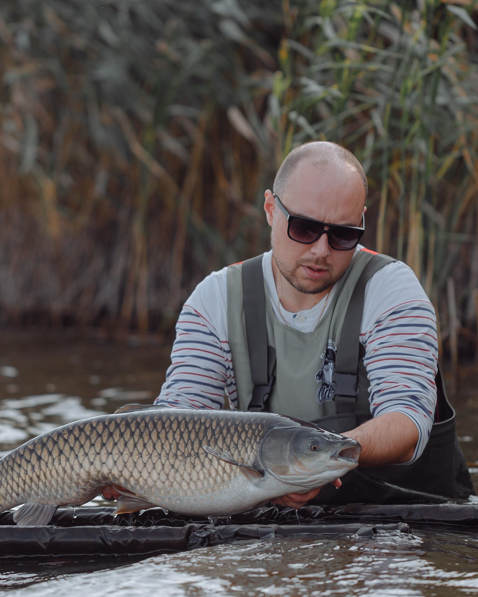 Angler holding a large carp above the water